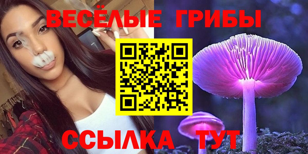 Ногинск  купить   Вход с VPN  Псилоцибиновые грибы мухоморы 